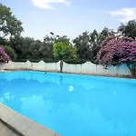 Pet Friendly In